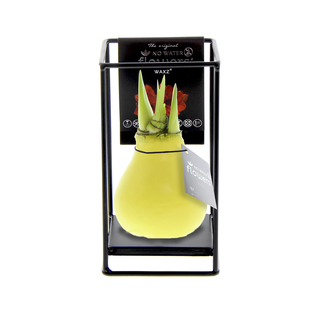 No Water Flowers® - Formz industrial - kopen of bedrukken - Pastel geel