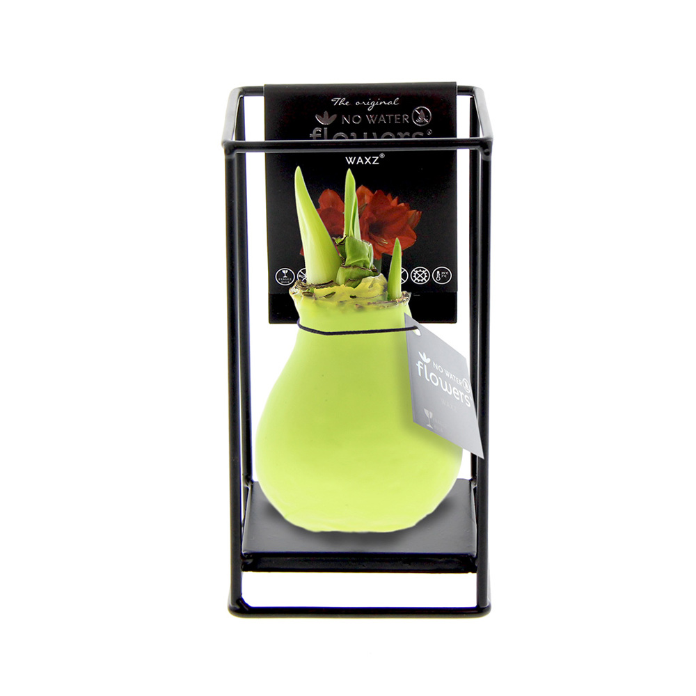No Water Flowers® - Formz industrial - kopen of bedrukken - Pastel groen
