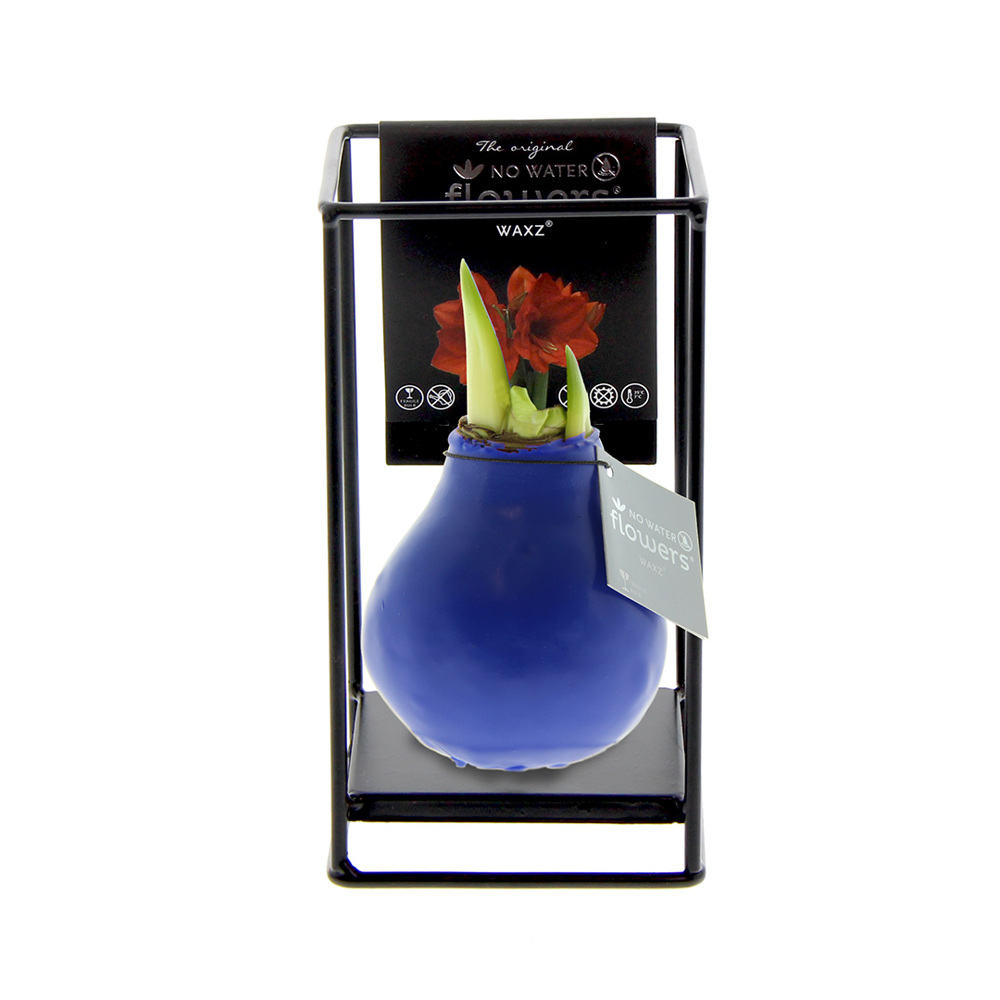 No Water Flowers® - Formz industrial - kopen of bedrukken - blauw