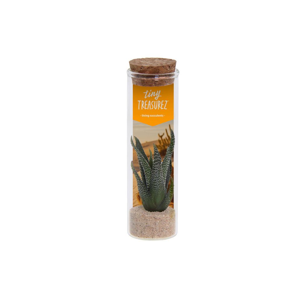 Tiny Treasurez® - Message in a bottle small - met logo of onbedrukt bestellen