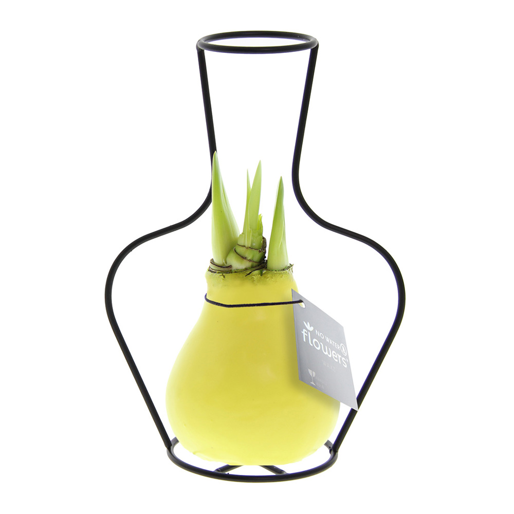 No Water Flowers® - Formz classic - kopen of bedrukken - Pastel geel