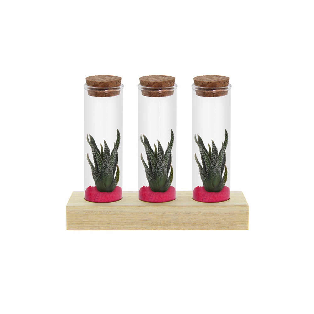 Tiny Treasurez® - Trio tube & wood - kopen of bedrukken - Donker Roze