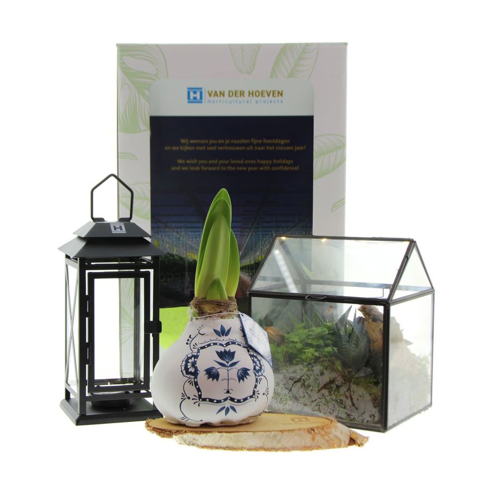 Groene geschenkbox - voor bedrijven en relatiegeschenken