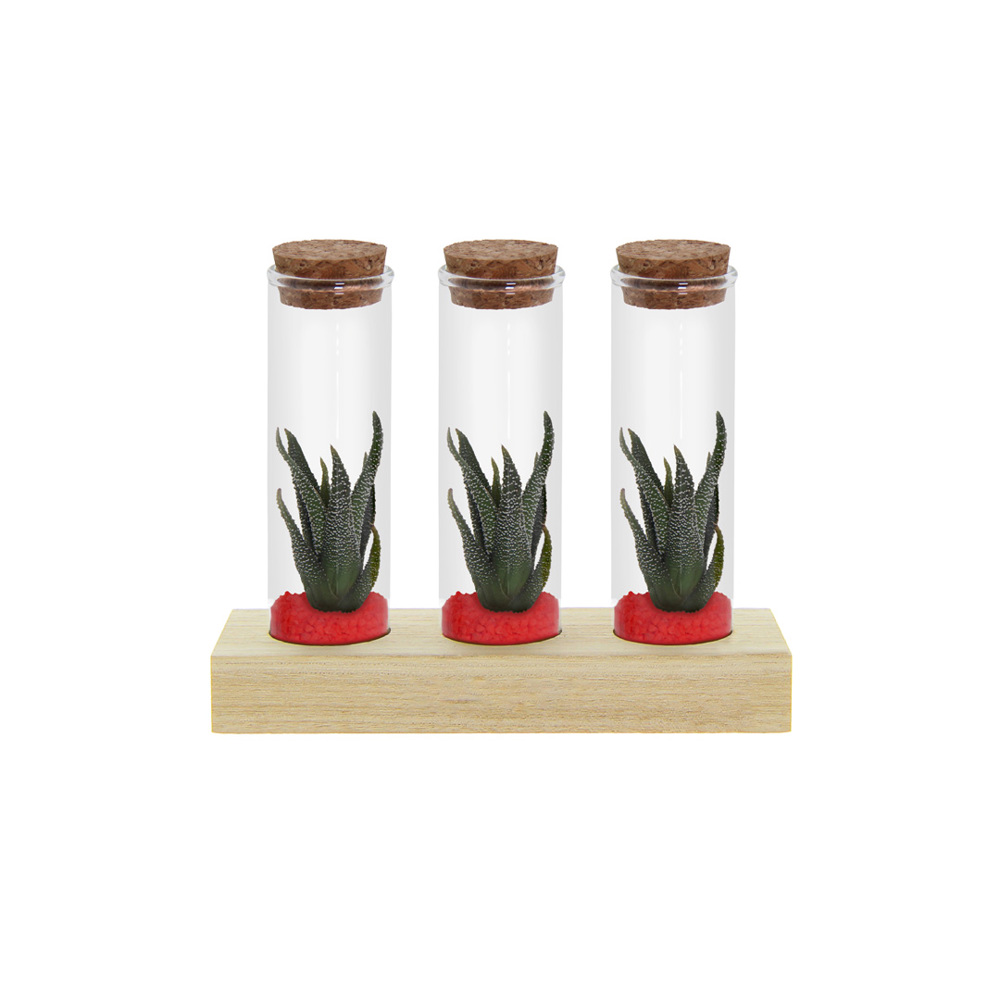 Tiny Treasurez® - Trio tube & wood - kopen of bedrukken - rood