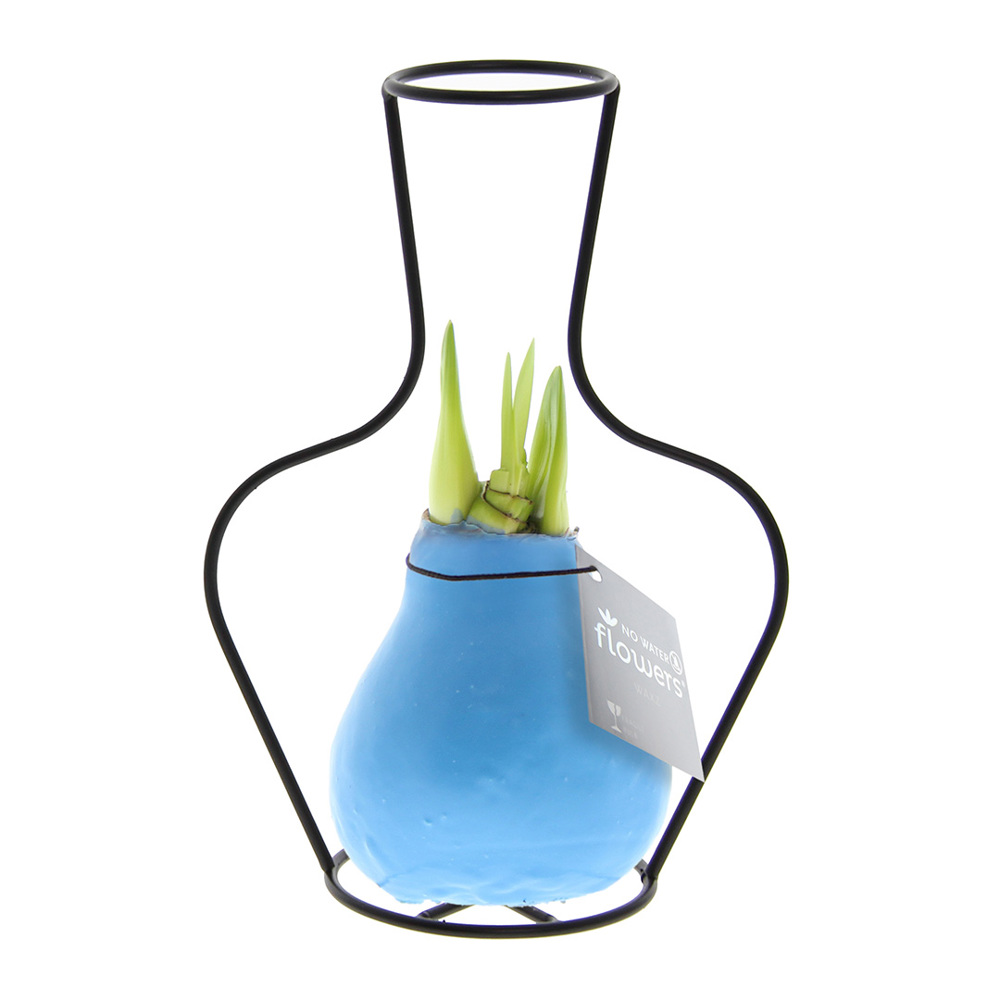 No Water Flowers® - Formz classic - kopen of bedrukken - Pastel blauw