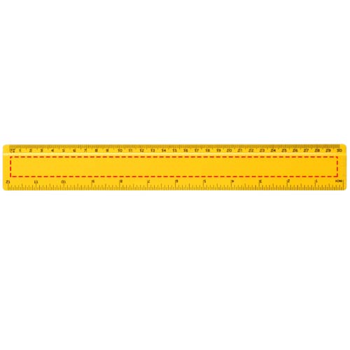 Refari liniaal van 30 cm van gerecycled plastic