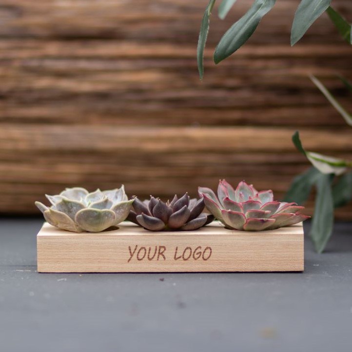 Tiny Treasurez® - Trio wood - voor bedrijven en relatiegeschenken