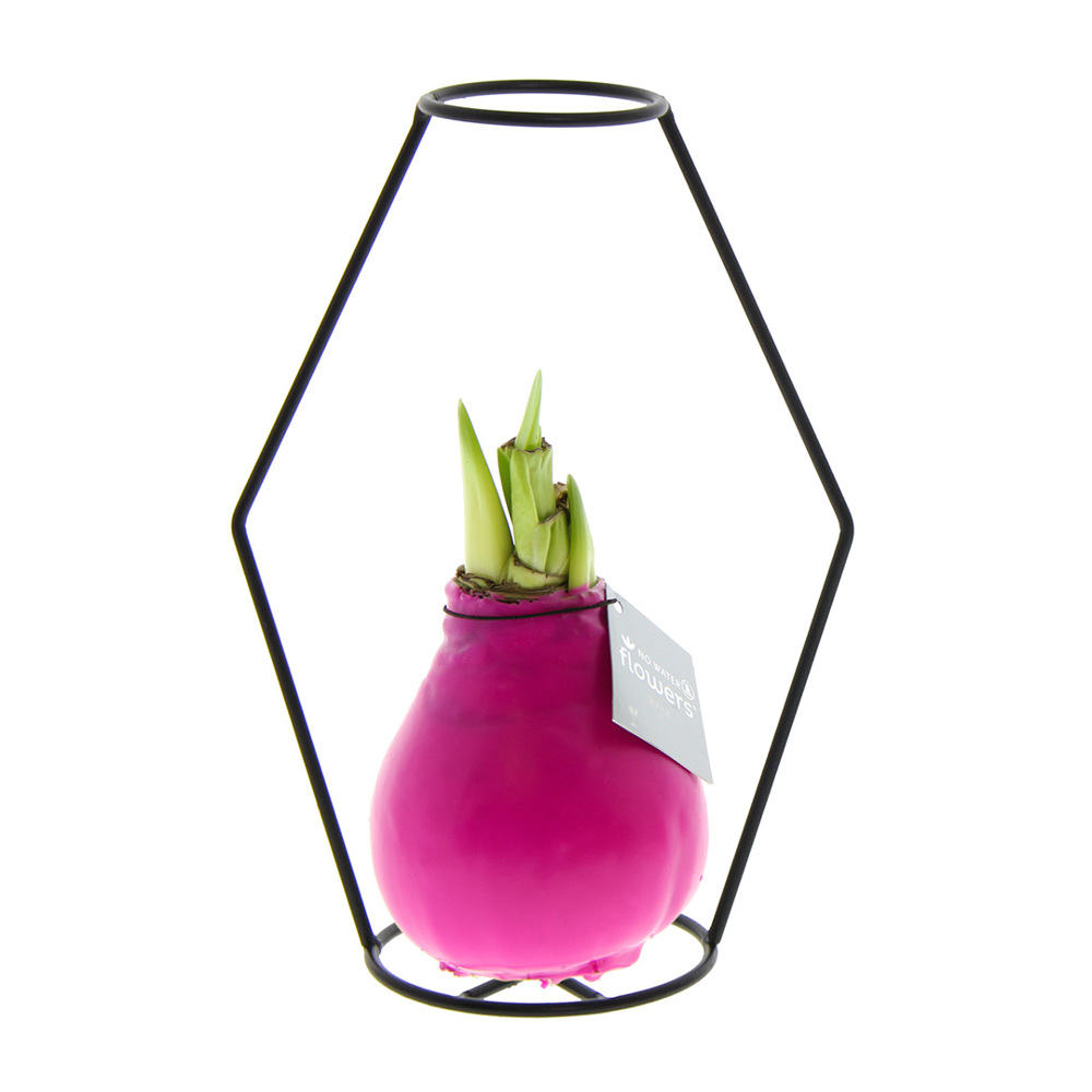 No Water Flowers® - Formz modern - kopen of bedrukken - roze