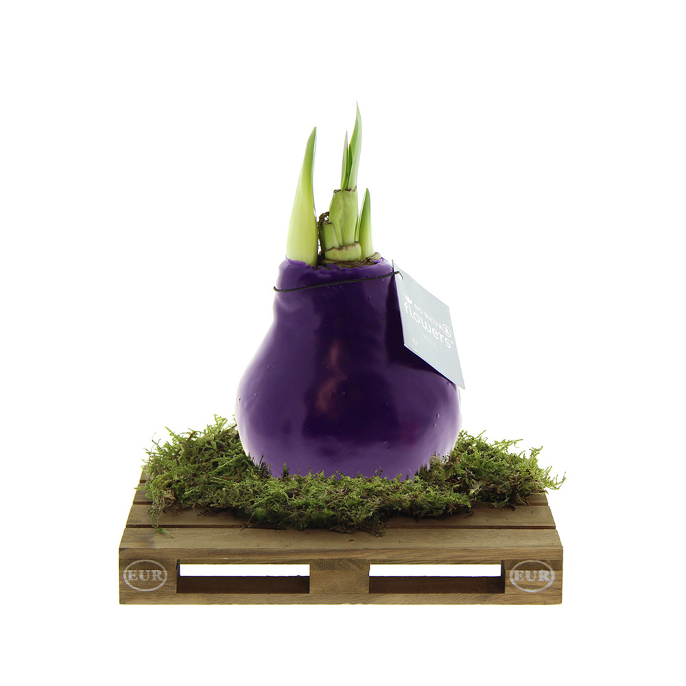 No Water Flowers® - Waxz® on pallet - met logo of onbedrukt bestellen - paars