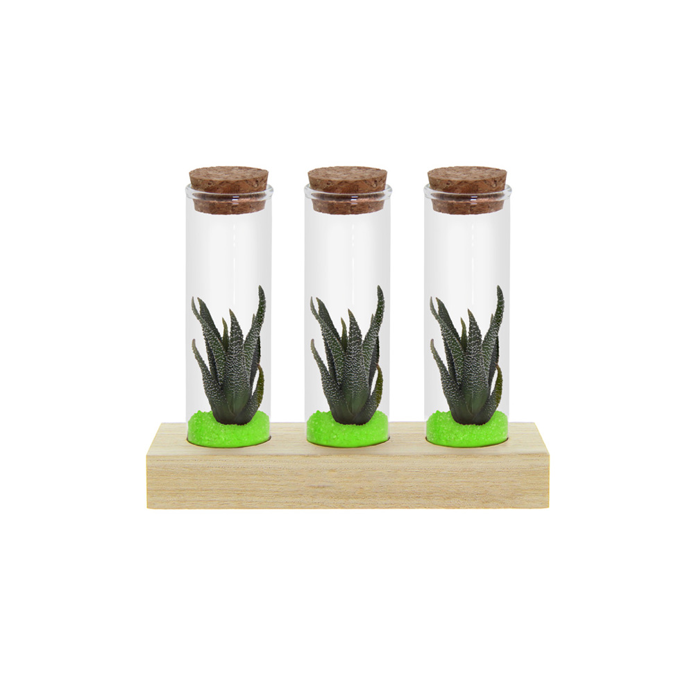 Tiny Treasurez® - Trio tube & wood - kopen of bedrukken - groen