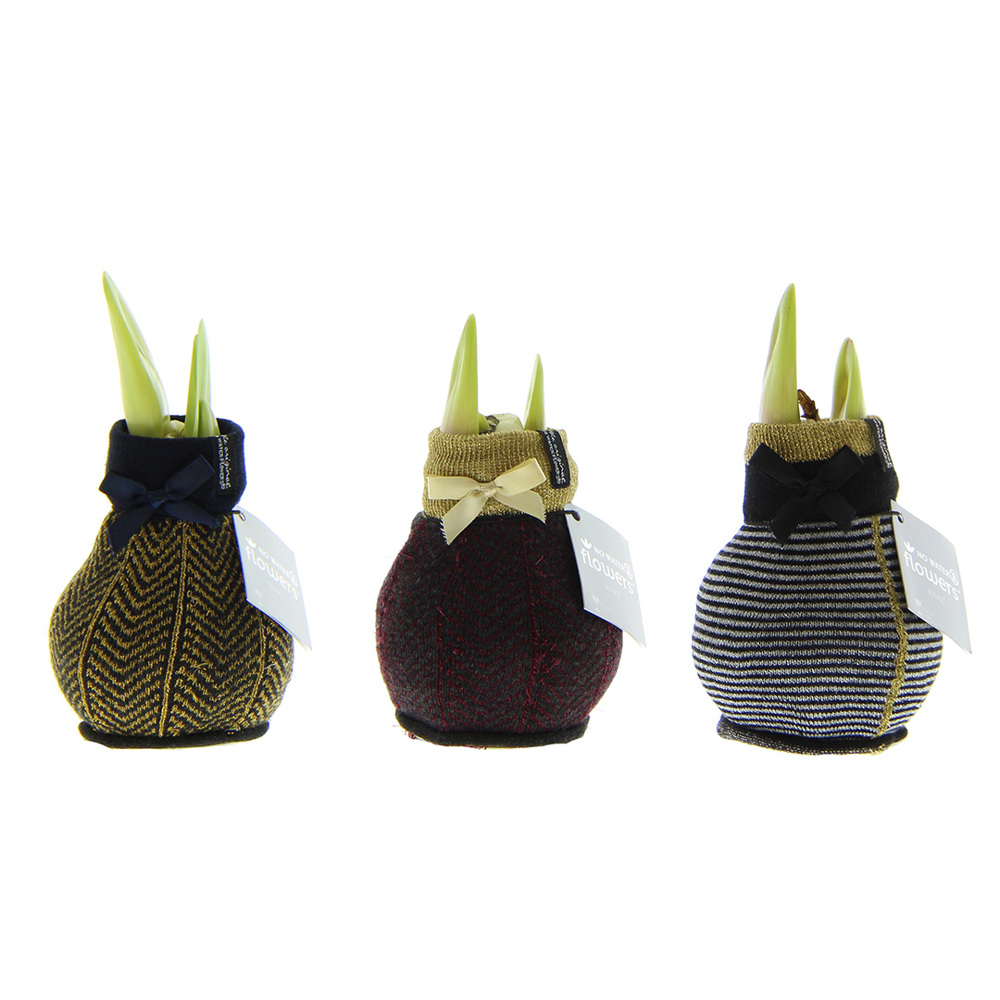 No Water Flowers® - Fashionz Elegant mix - voor bedrijven en relatiegeschenken