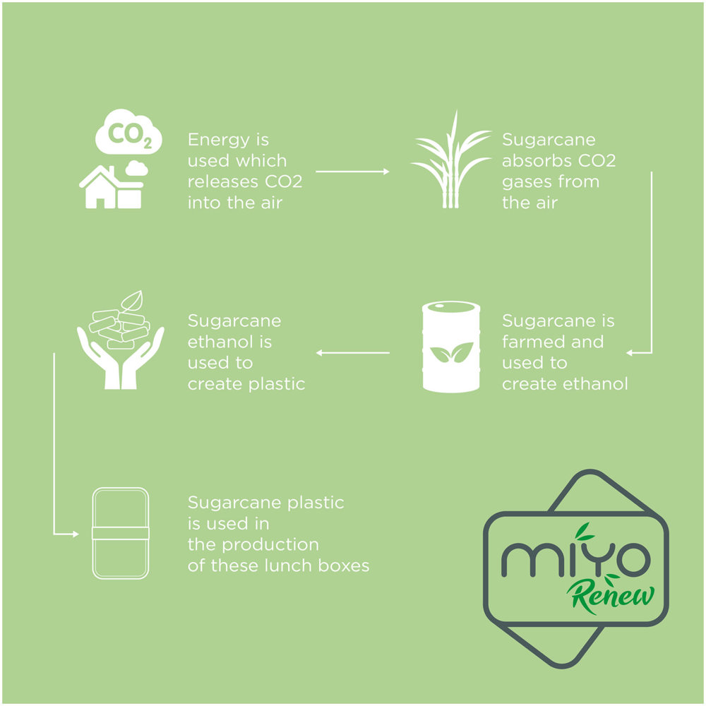 MIYO Renew 700+700 ml dubbellaagse lunchbox