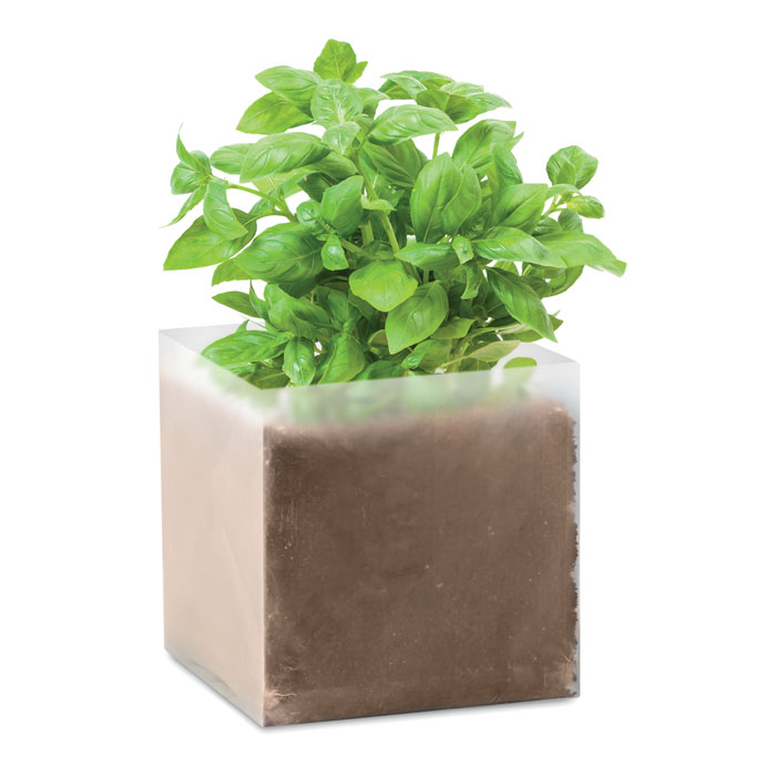 BASIL - Basilicum zaadjes - voor bedrijven en relatiegeschenken