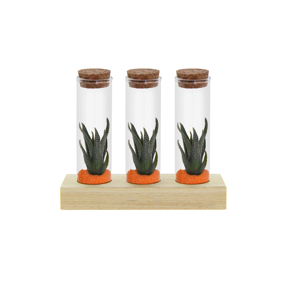 Tiny Treasurez® - Trio tube & wood - kopen of bedrukken - oranje