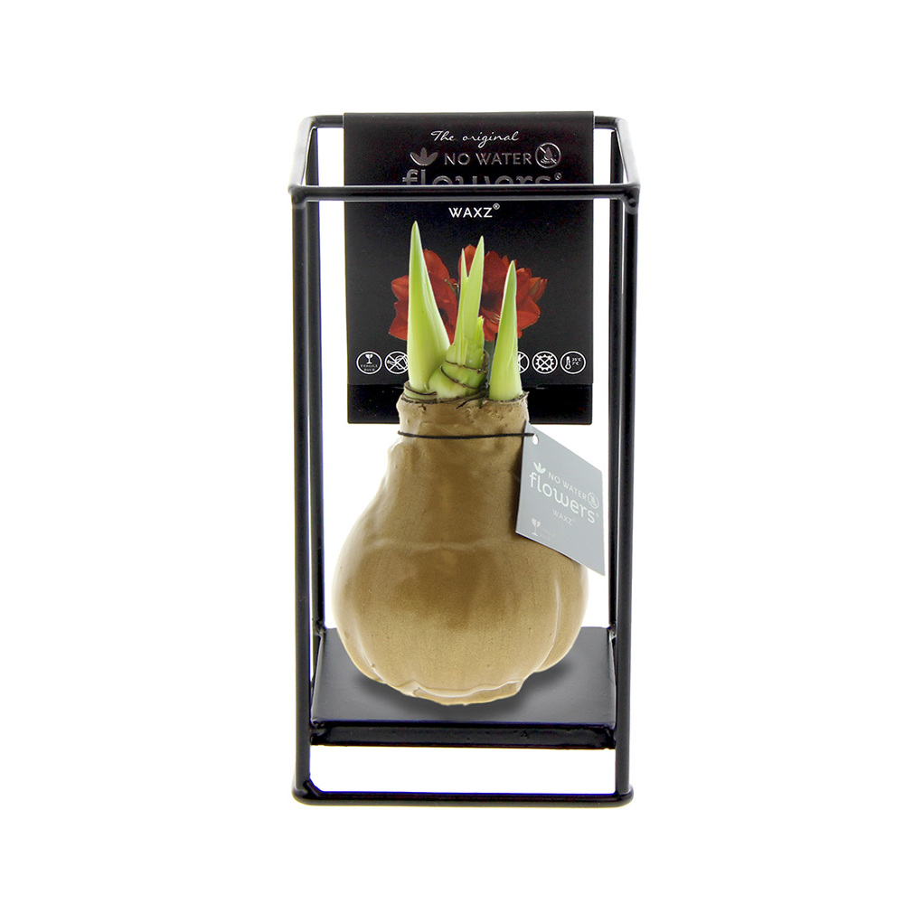 No Water Flowers® - Formz industrial - kopen of bedrukken - goud