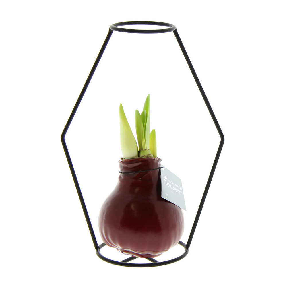 No Water Flowers® - Formz modern - kopen of bedrukken - bordeaux
