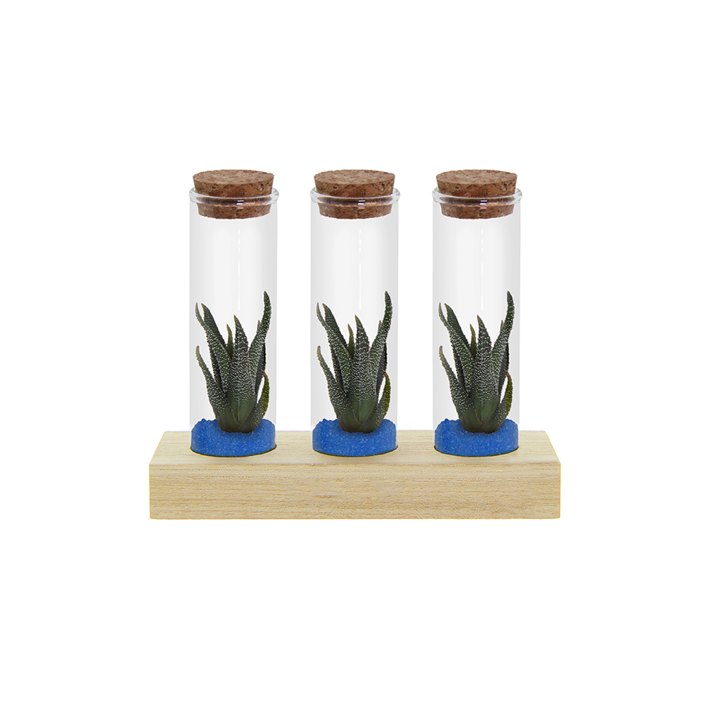Tiny Treasurez® - Trio tube & wood - kopen of bedrukken - blauw
