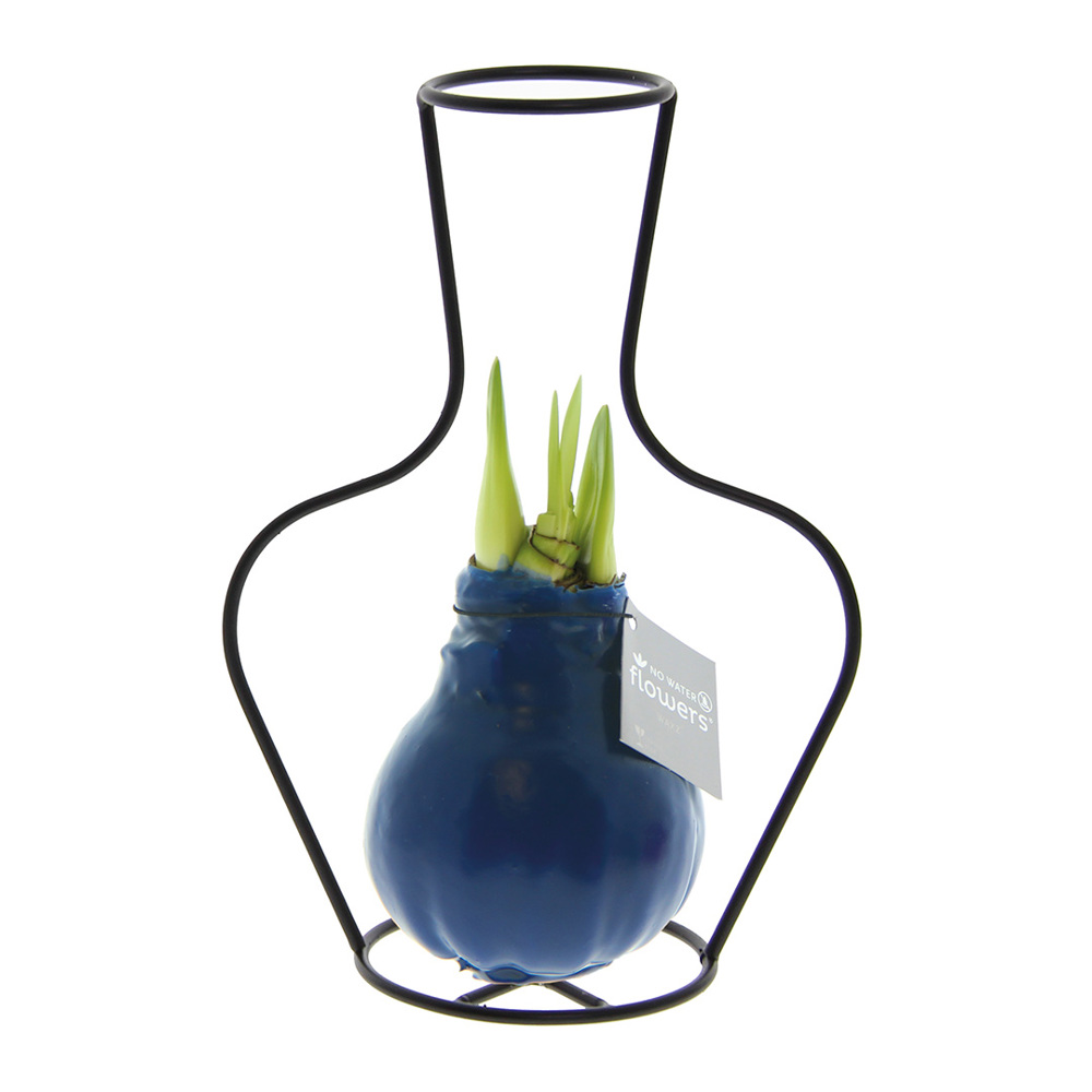 No Water Flowers® - Formz classic - kopen of bedrukken - Donkerblauw
