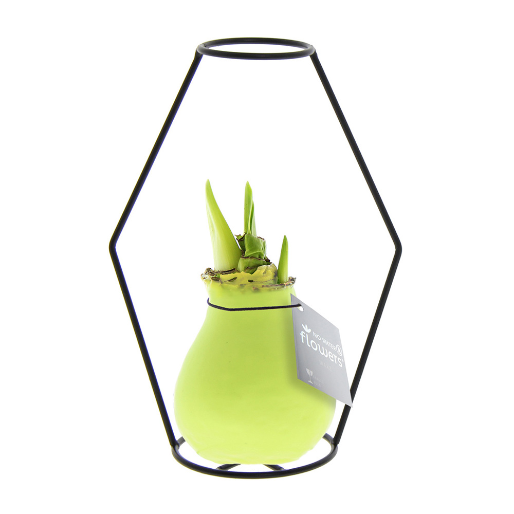 No Water Flowers® - Formz modern - kopen of bedrukken - Pastel groen