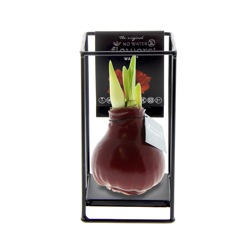 No Water Flowers® - Formz industrial - kopen of bedrukken - bordeaux