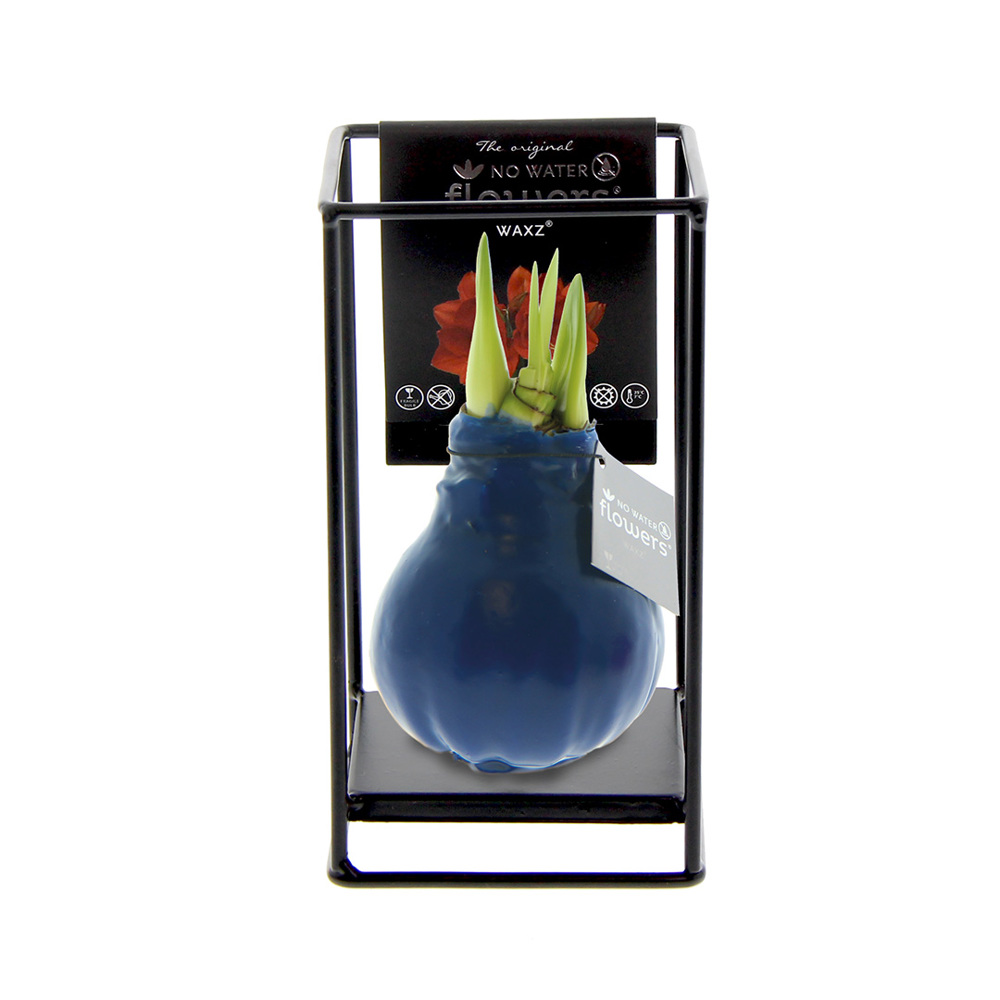 No Water Flowers® - Formz industrial - kopen of bedrukken - Donkerblauw