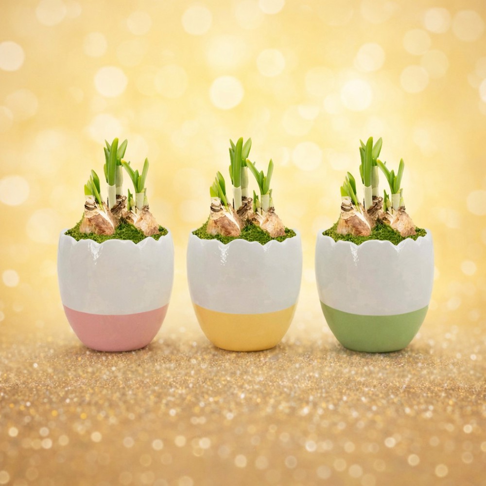 Easter colourful stand medium - Narcis, Zonder verpakking