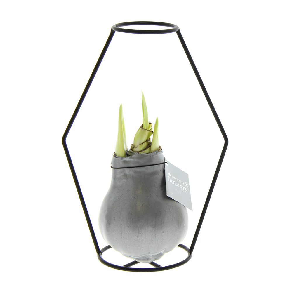 No Water Flowers® - Formz modern - kopen of bedrukken - zilver
