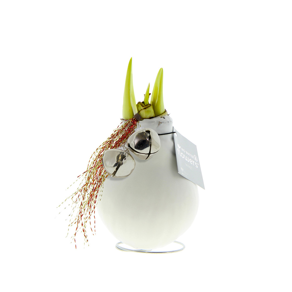 No Water Flowers® - Jingle Bellz - voor bedrijven en relatiegeschenken - wit