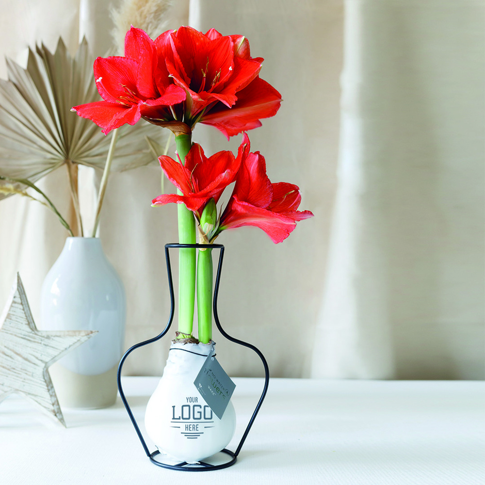 No Water Flowers® - Formz classic, Zonder verpakking, Zwart