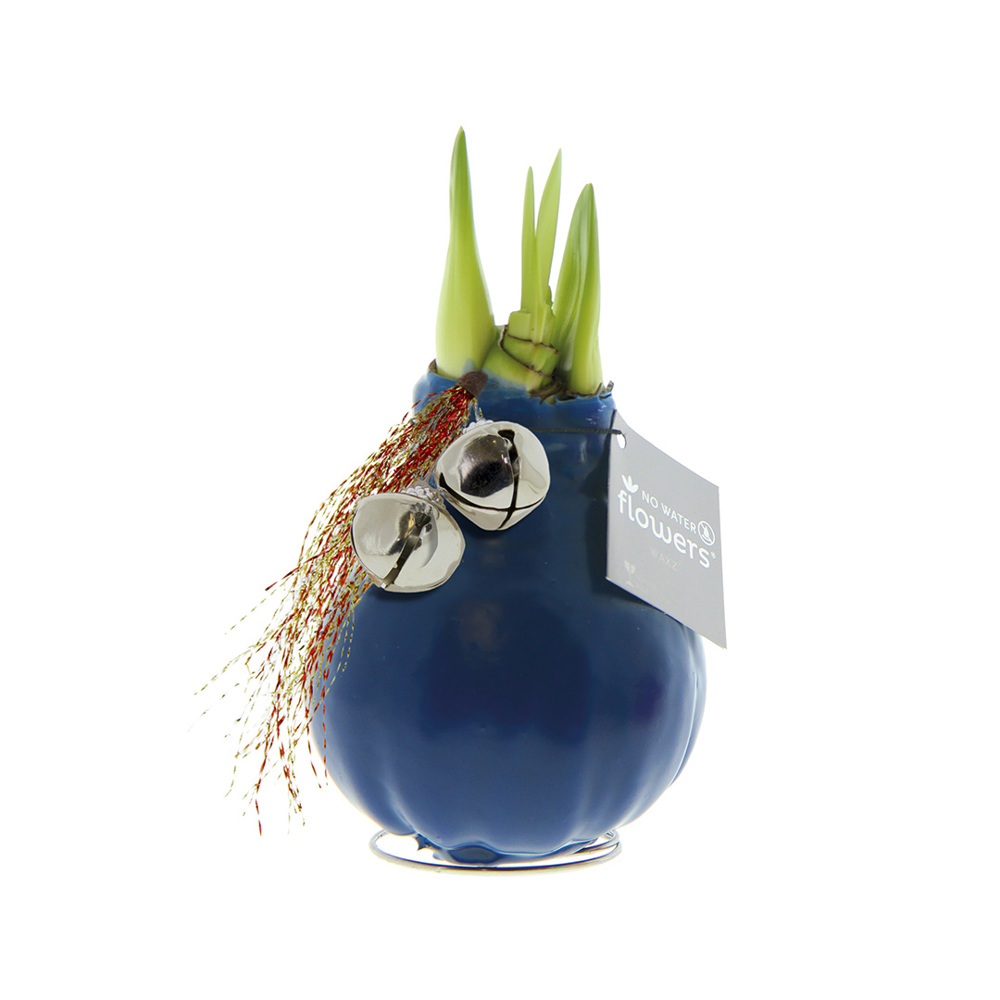 No Water Flowers® - Jingle Bellz - voor bedrijven en relatiegeschenken - Donkerblauw