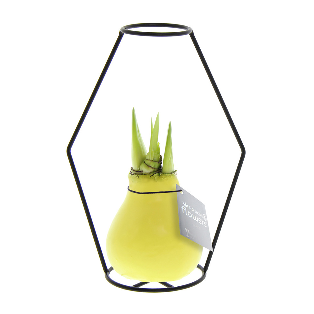 No Water Flowers® - Formz modern - kopen of bedrukken - Pastel geel
