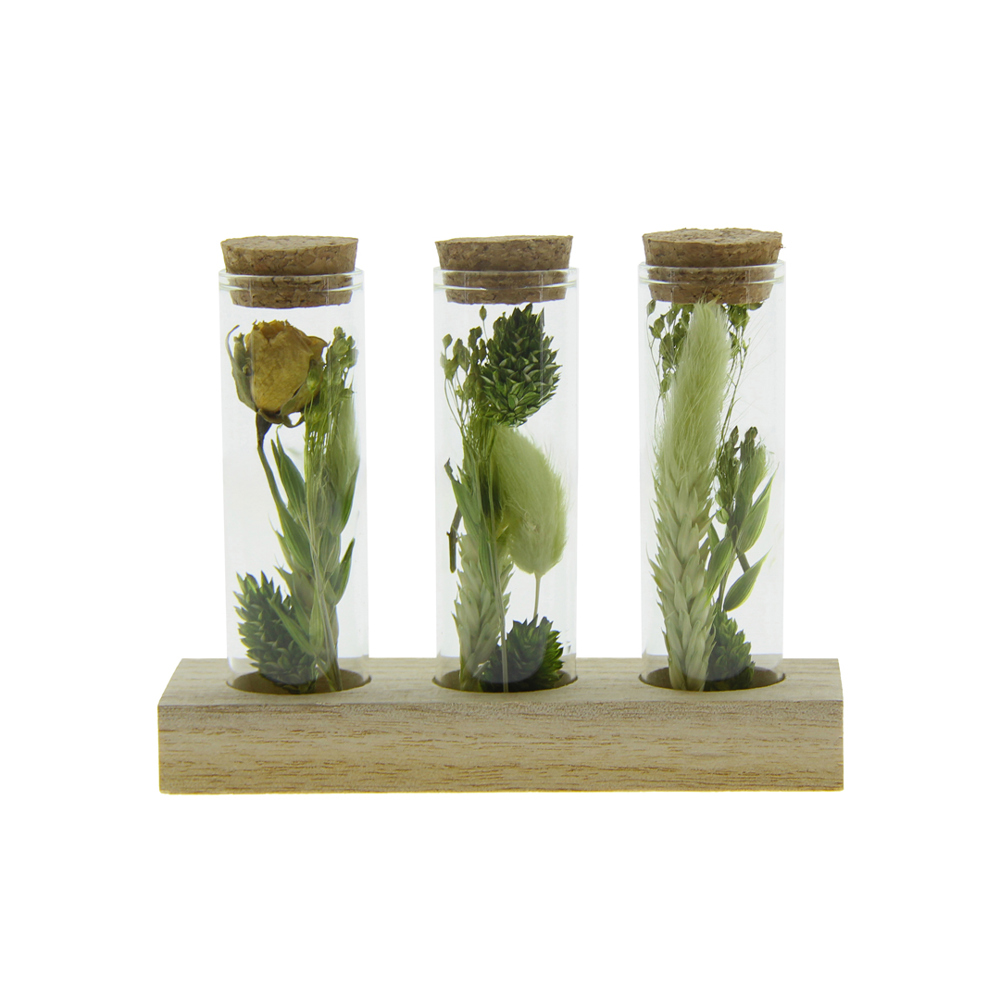 Dried Flowers - Trio tube & wood - kopen of bedrukken - groen