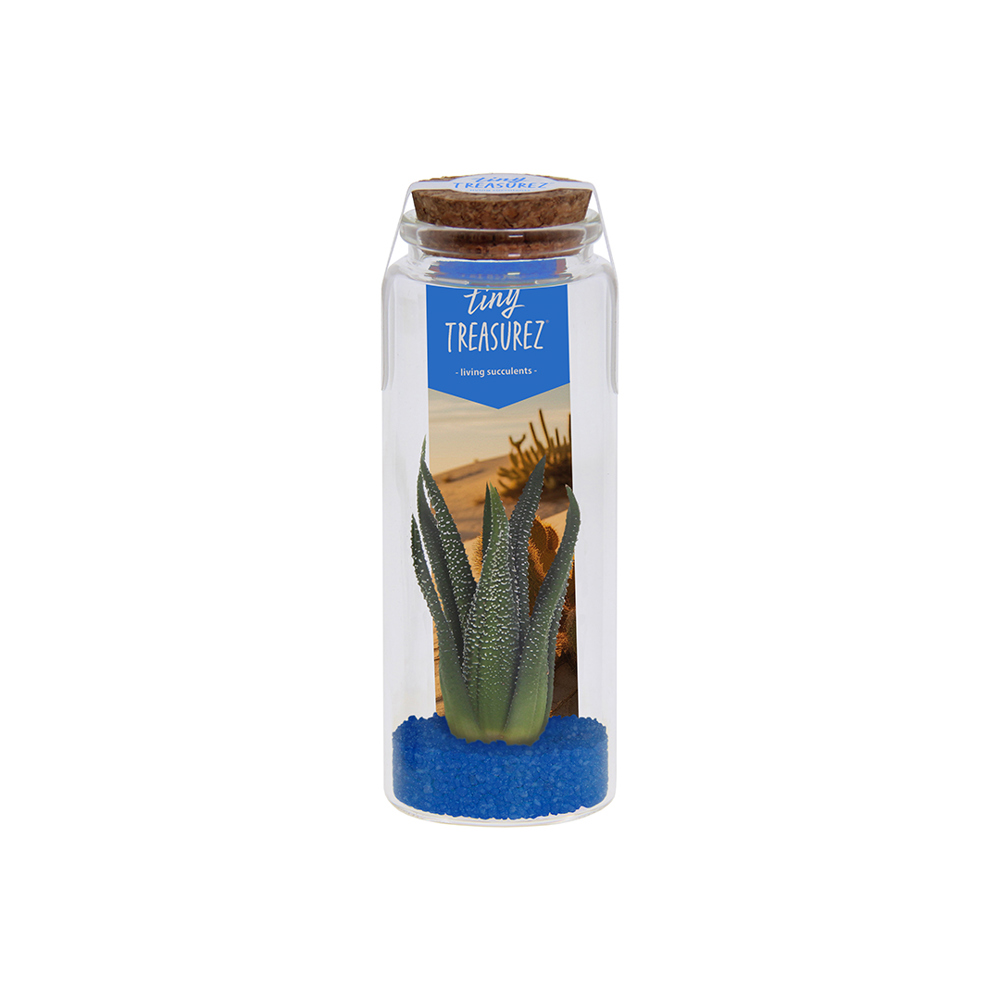 Tiny Treasurez® - Message in a bottle large - voor bedrijven en relatiegeschenken - blauw