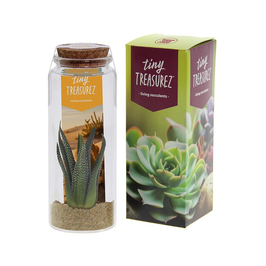 Tiny Treasurez® - Message in a bottle large, In giftbox, Natuurlijk