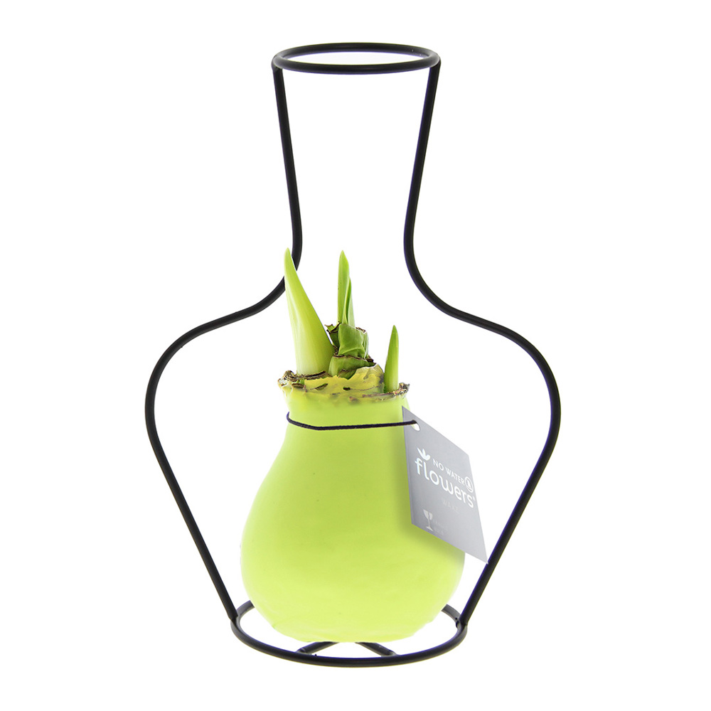 No Water Flowers® - Formz classic - kopen of bedrukken - Pastel groen