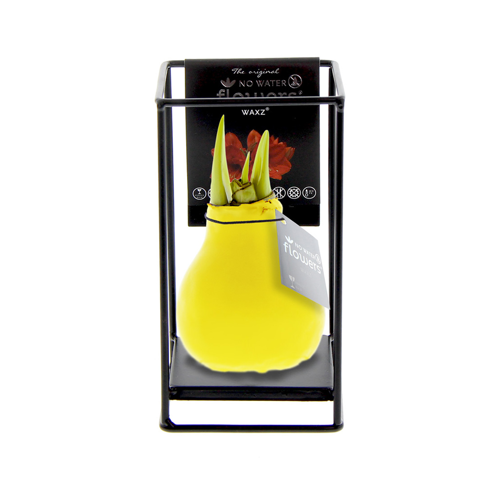No Water Flowers® - Formz industrial - kopen of bedrukken - geel