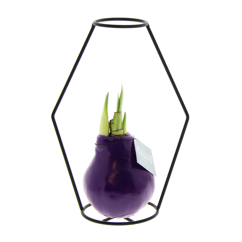 No Water Flowers® - Formz modern - kopen of bedrukken - paars