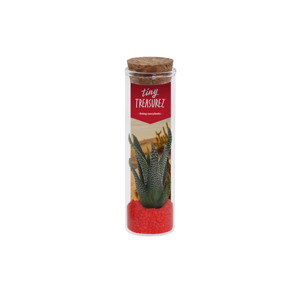 Tiny Treasurez® - Message in a bottle small - met logo of onbedrukt bestellen - rood