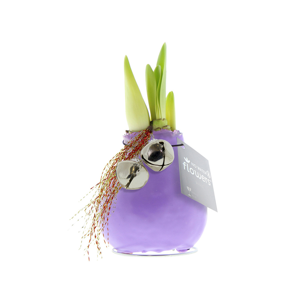 No Water Flowers® - Jingle Bellz - voor bedrijven en relatiegeschenken - Pastel paars