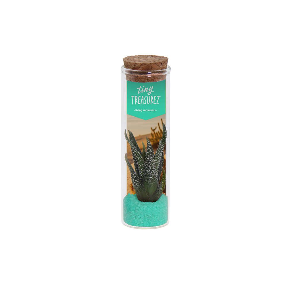 Tiny Treasurez® - Message in a bottle small - met logo of onbedrukt bestellen - turquoise