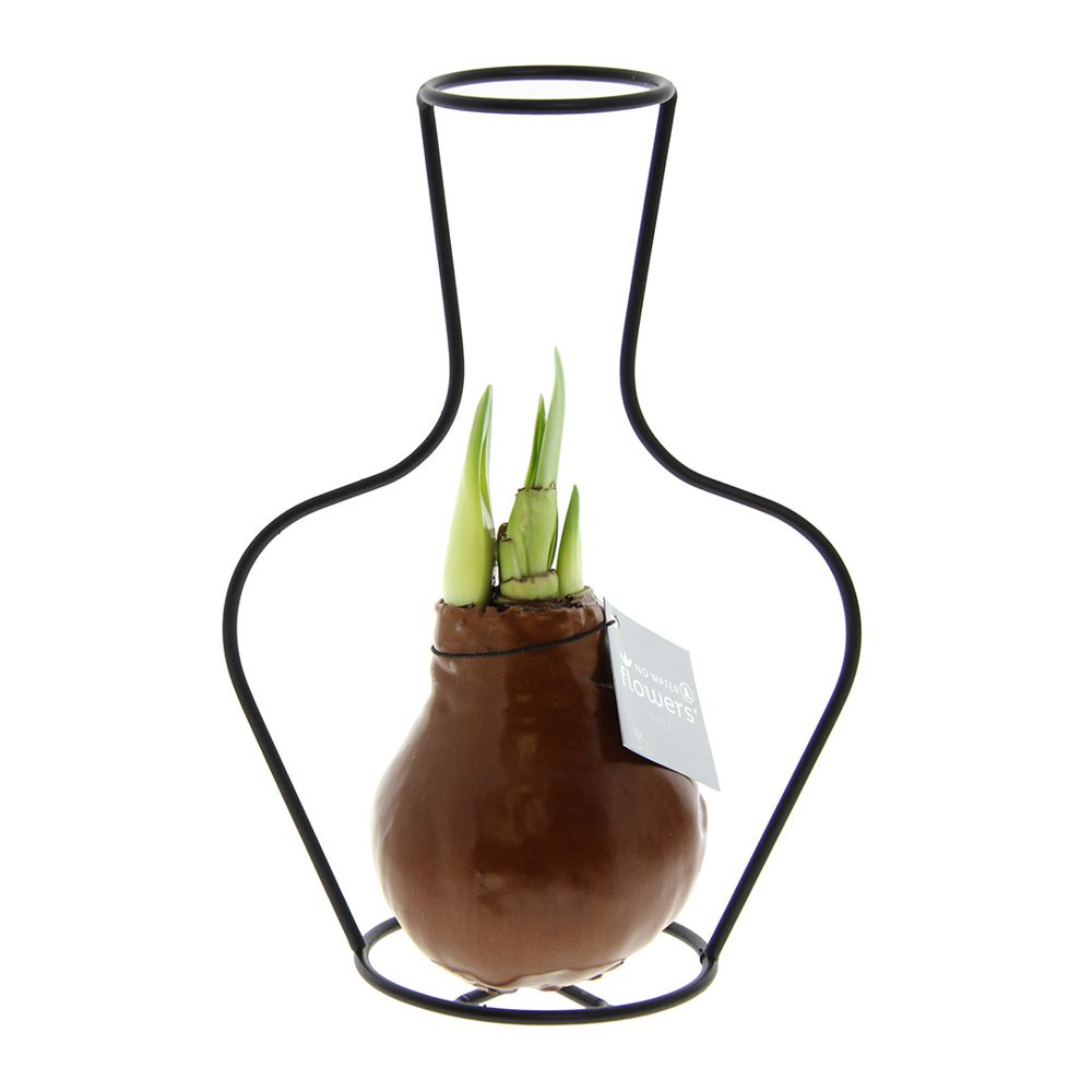 No Water Flowers® - Formz classic - kopen of bedrukken - koper