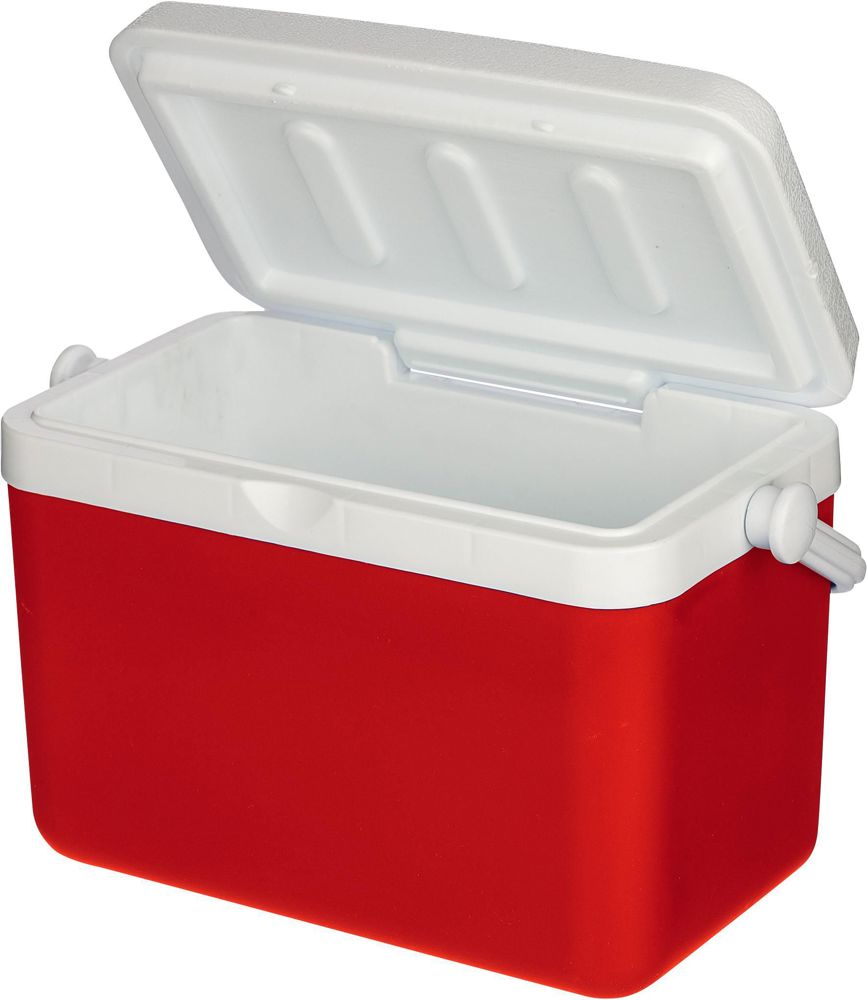 Koelbox 4 liter Sunkissed