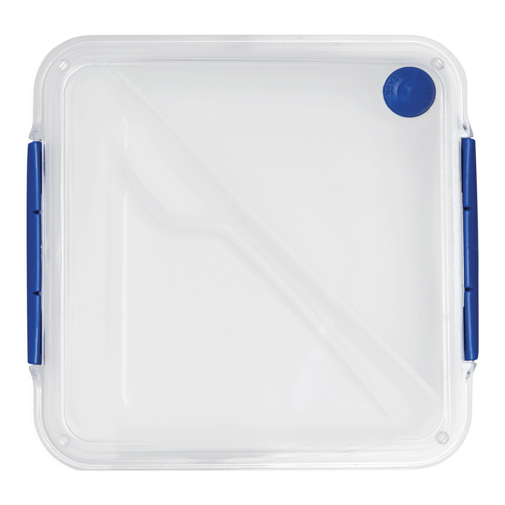 DELICIOUS - Lunchbox