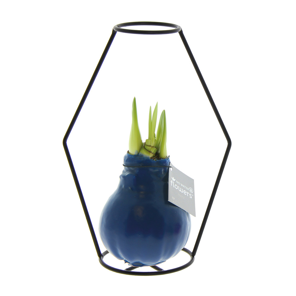 No Water Flowers® - Formz modern - kopen of bedrukken - Donkerblauw