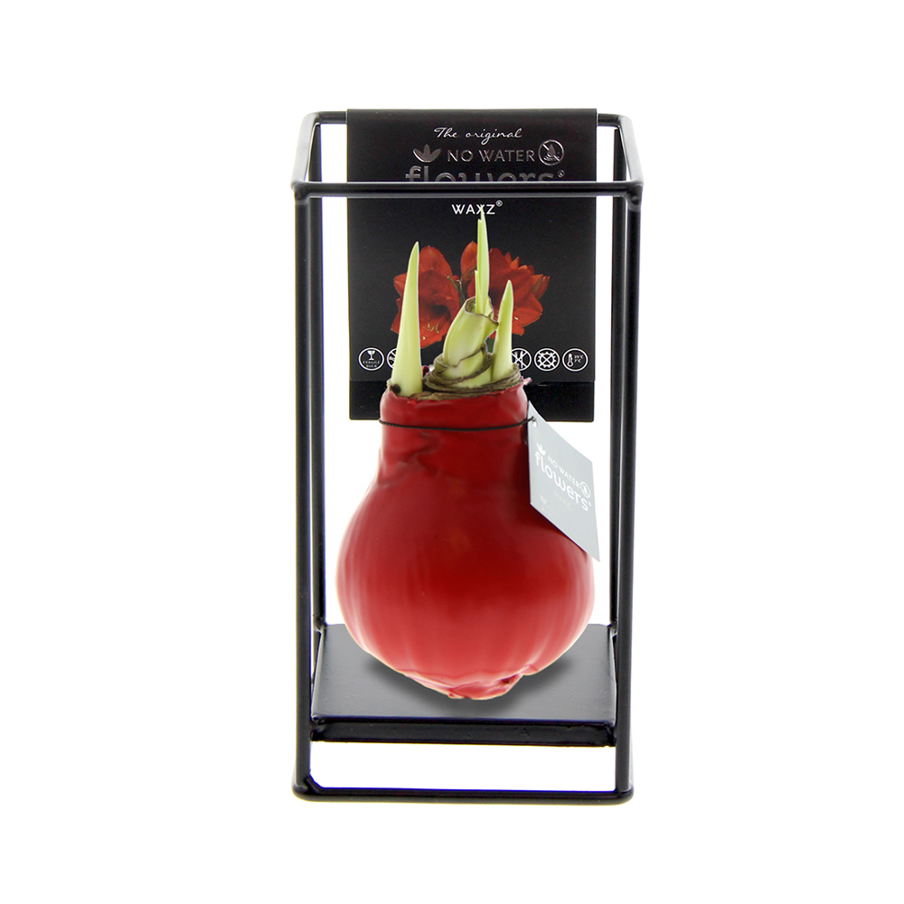 No Water Flowers® - Formz industrial - kopen of bedrukken - rood