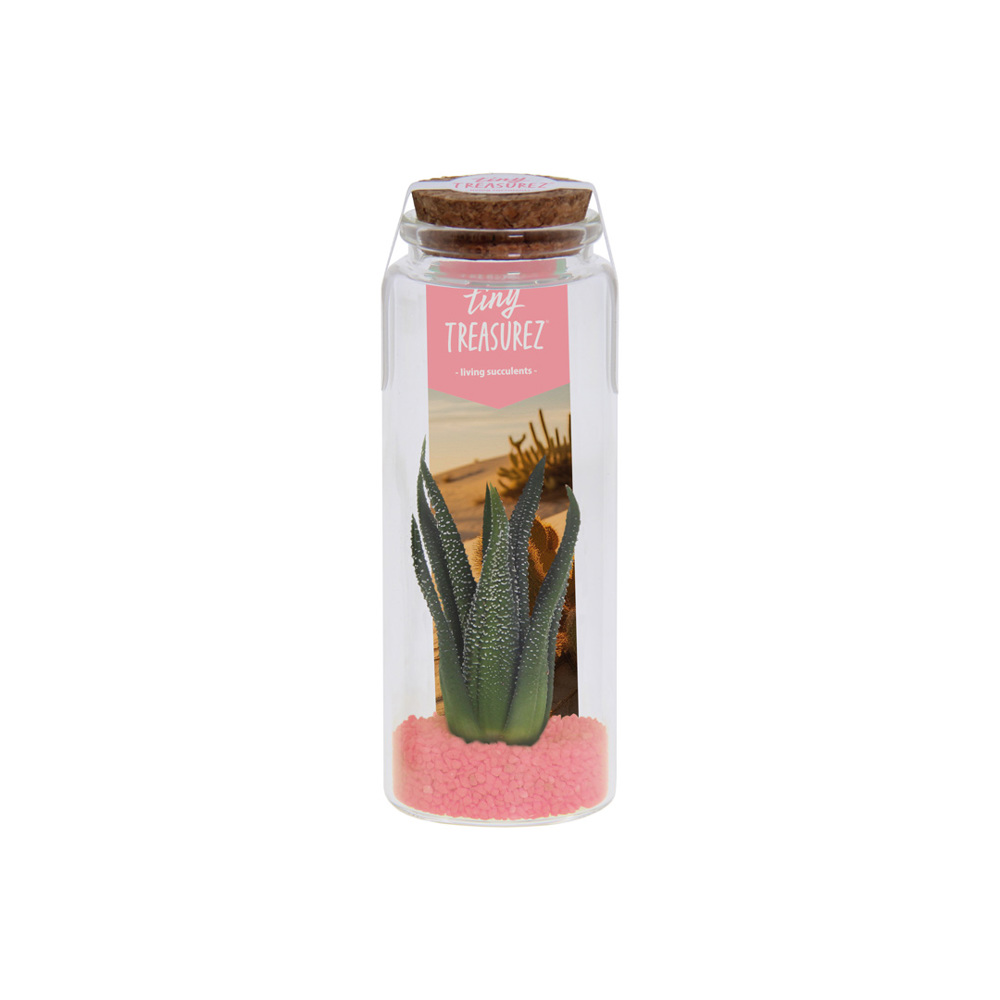 Tiny Treasurez® - Message in a bottle large - voor bedrijven en relatiegeschenken - licht roze