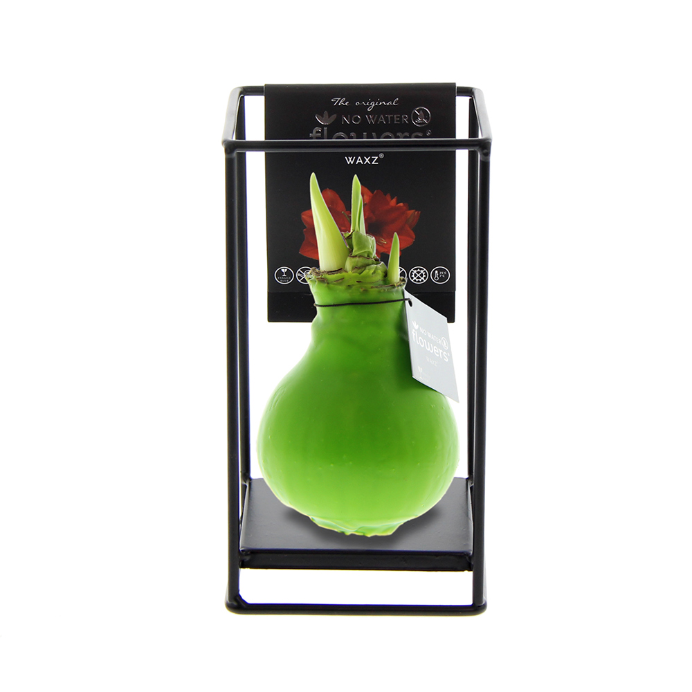 No Water Flowers® - Formz industrial - kopen of bedrukken - Lichtgroen