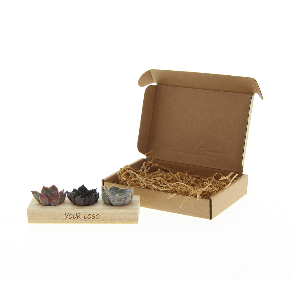 Tiny Treasurez® - Trio wood - voor bedrijven en relatiegeschenken