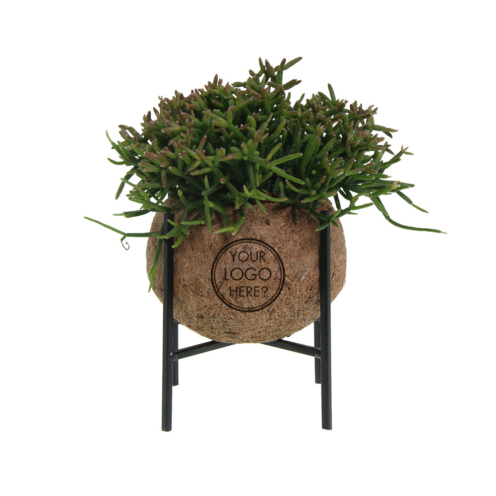 Kokodama® - Industrial easy green mix (M), Zonder verpakking
