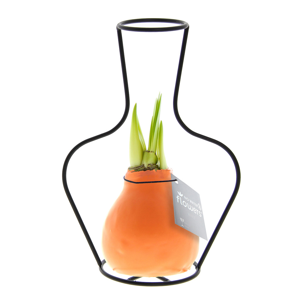 No Water Flowers® - Formz classic - kopen of bedrukken - Pastel oranje